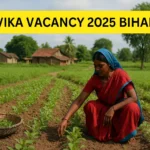 Jeevika Vacancy 2025 Bihar